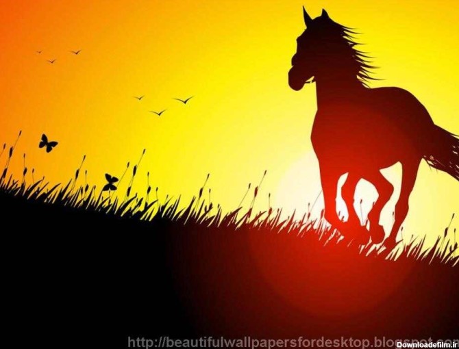 آخرین خبر | اسب در غروب زيباي آفتاب