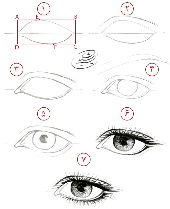 آموزش طراحی آناتومی چشم