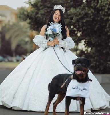 عکس عروس داماد با سگ
