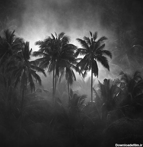 عکس های سیاه و سفید بسیار زیبا از طبیعت