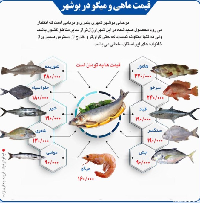 حسرت ماهی به دل بوشهری ها+ اینفوگرافیک - خبر جنوب - KhabarJonoub