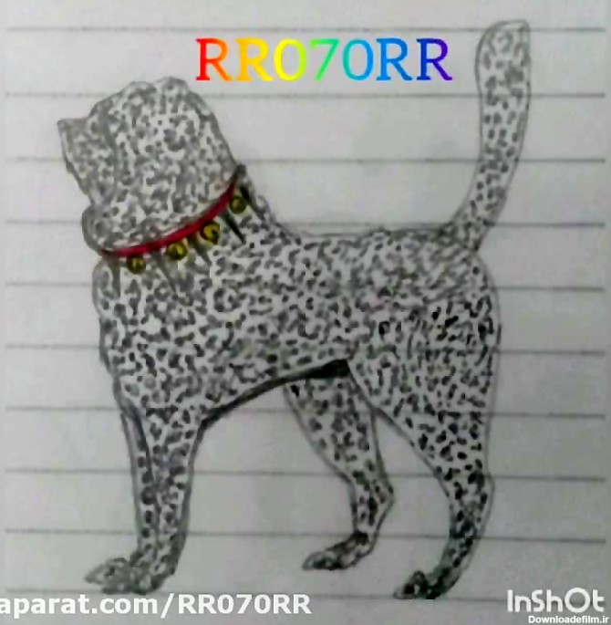 اموزش طراحی و نقاشی سگ خراسانی به صورت کارتونی