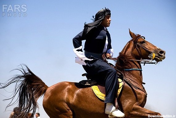 جشنواره اسب اصیل ایرانی، نژاد کرد