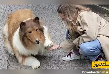 این مرد با 13 هزار یورو هزینه خودش را به‌شکل سگ درآورد +عکس