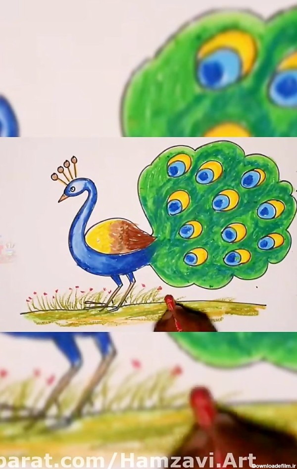 اموزش نقاشی طاووس ( کلاس چهارم )