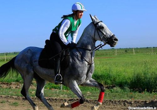 مرکز انواع اسب پرشی ترکمن