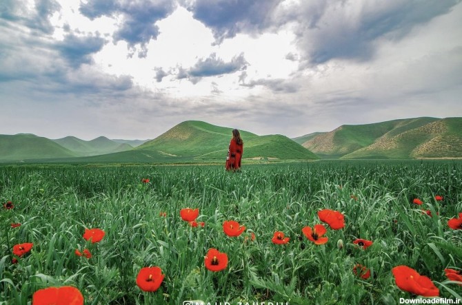 تور ۲٫۵ روزه ترکمن صحرا - توران مجری تورهای عکاسی