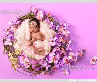 عکس نوزاد در تم حلقه گل ارکیده