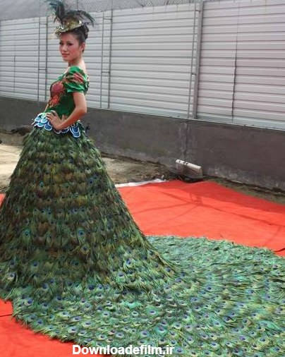لباس عروسی از پر طاووس - China Radio International