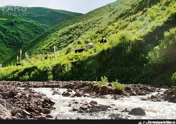 طبیعت سبز بهاری در تاجیکستان (عکس)