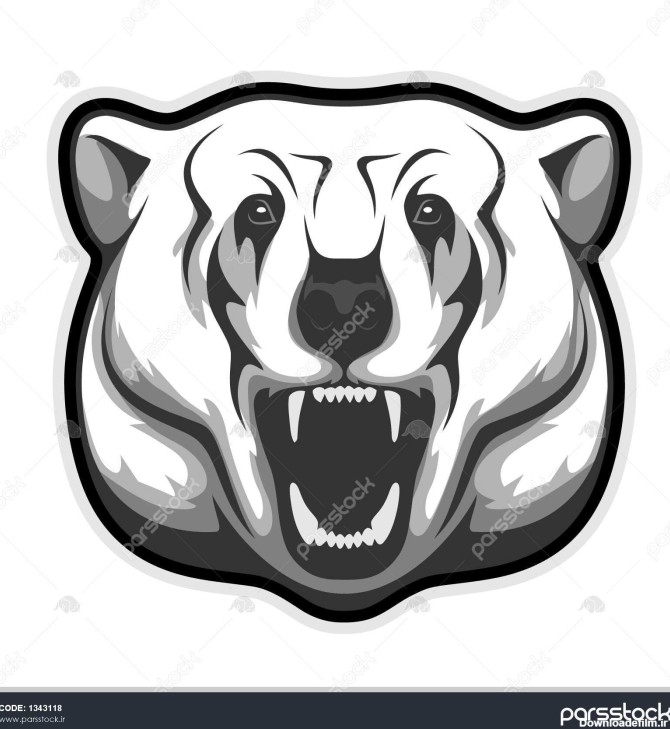 قطبی خرس سر سیاه و سفید و سفید بردار تصویر 1343118