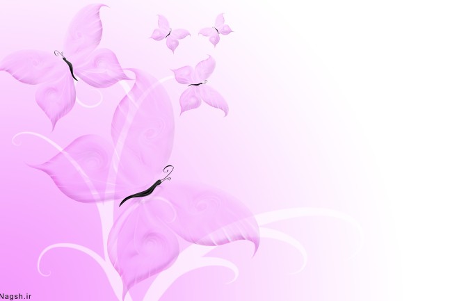 گل و پروانه بنفش در زمینه سفید - گالری تصاویر نقش