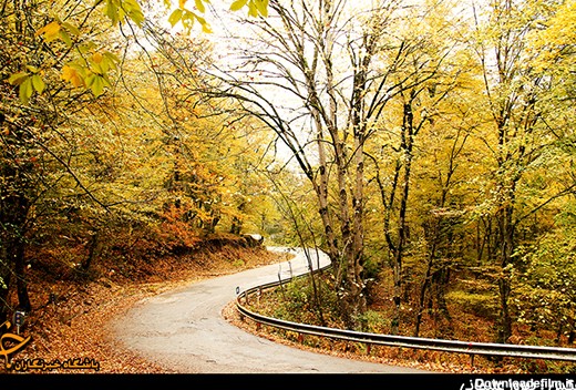 طبیعت پاییزی جاده چالوس + تصاویر