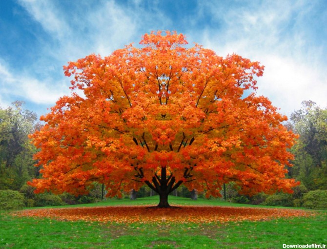مجموعه ای از زیباترین والپیپرهای فصل پاییز با کیفیت بالا :: آوای طبیعت
