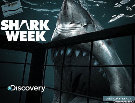 دانلود مستند کوسه ماهی ها | Shark Week Shark City