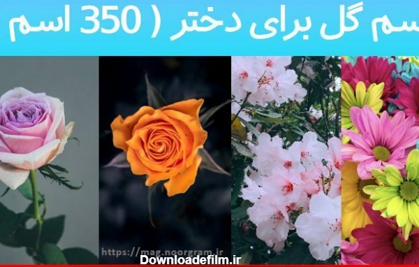اسم گل برای دختر ( 350 اسم ) - مجله نورگرام