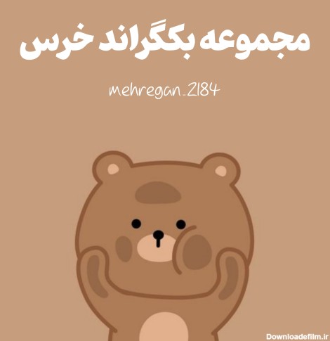 مجموعه بکگراند خرس | متن نگار