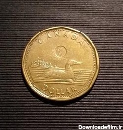 خرید و قیمت سکه 1 دلار کانادا | ترب