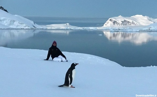 یکی دیگر از زیباترین مکان های جهان قطب جنوب یا جنوبگان است