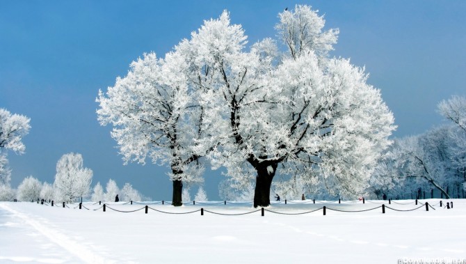 تصاویر زیبا از زمستان