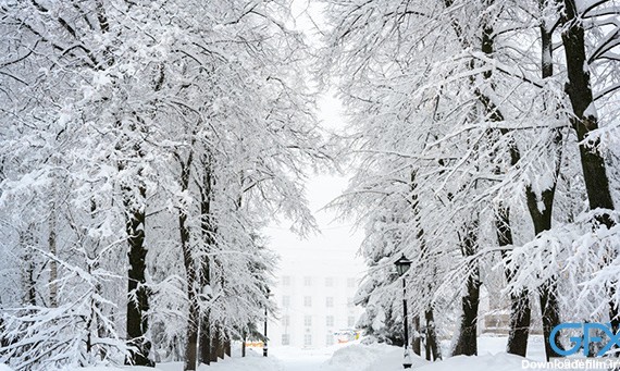 30 عکس زمستان زیبا❄️دانلود عکس زمستان برفی با کیفیت بالا