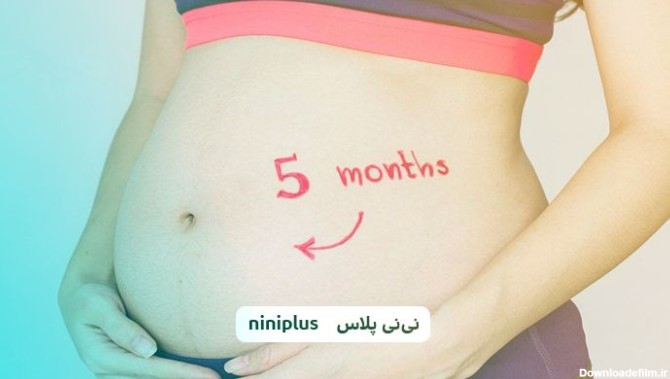ماه پنجم بارداری،علائم شایع ماه پنجم بارداری چیست؟ | نی نی پلاس