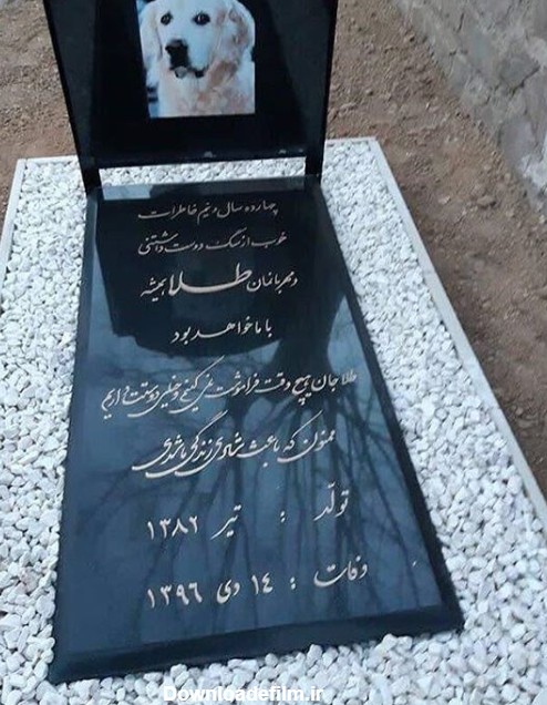 مجلس ختم و سنگ قبر اشرافی یک سلبریتی برای سگش در تهران ! + عکس ...