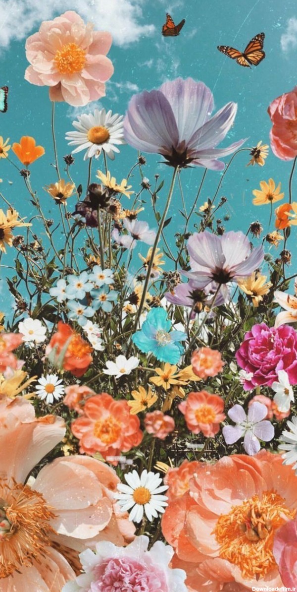 عکس گل و پروانه برای پروفایل واتساپ