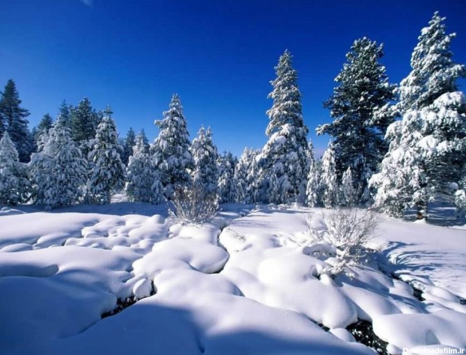 عکس منظره برفی بسیار زیبا و دیدنی - ستاره