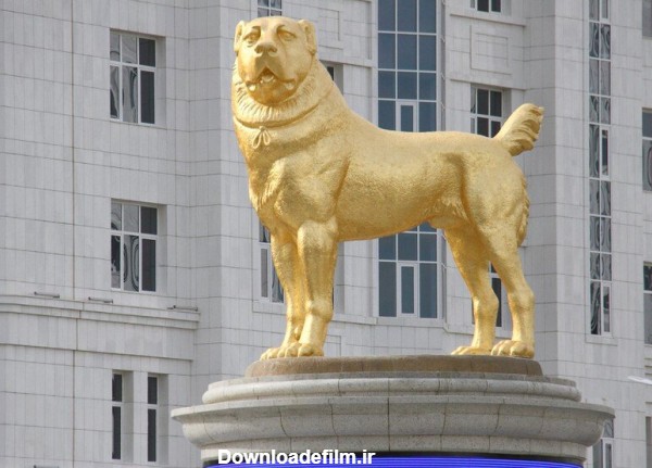 عکس روز| مجسمه طلایی سگ محبوب - همشهری آنلاین