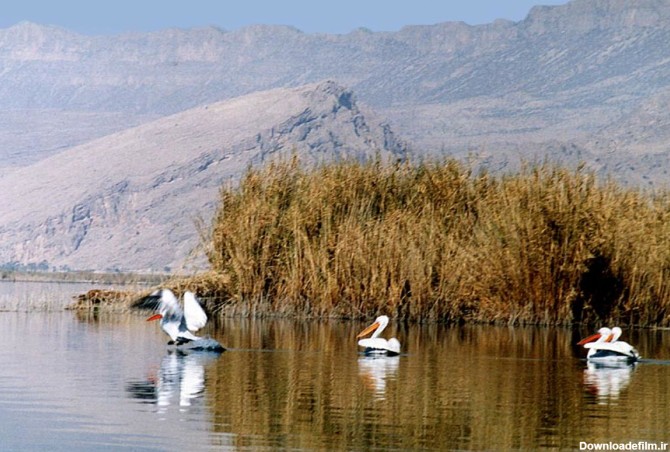 Amazing Lakes and Wetlands of Iran - Incredible Iran