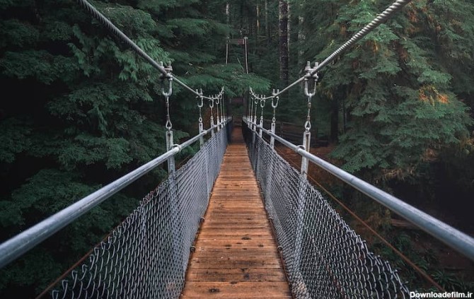 پلی چوبی در جنگل