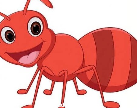 آموزش نقاشی مورچه و رنگ آمیزی های زیبا مورچه برای کودکان