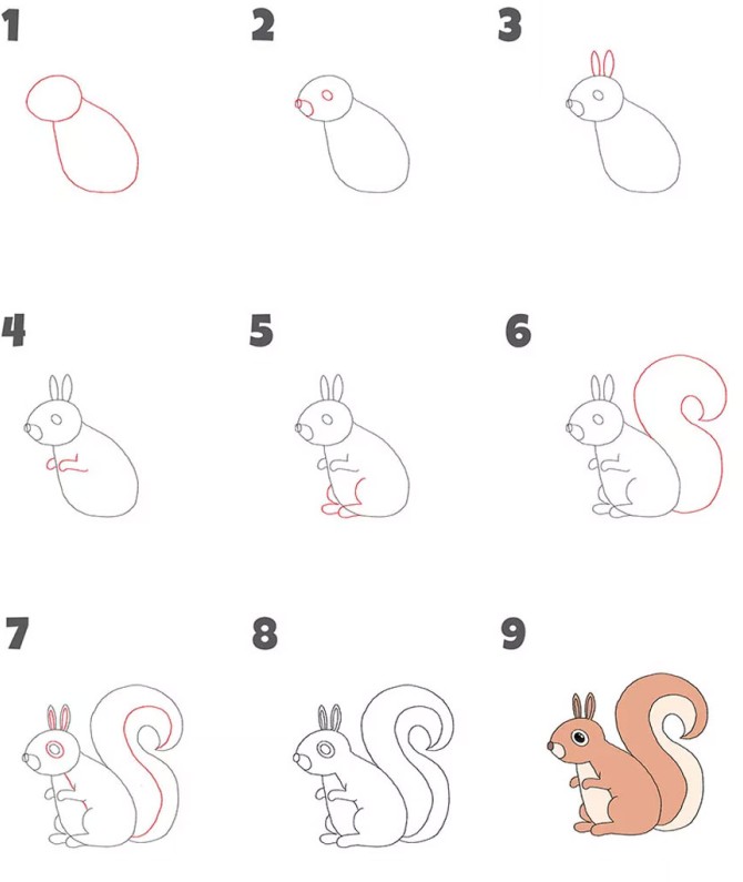 آموزش کشیدن نقاشی سنجاب بامزه | ساده، قدم به قدم و تصویری