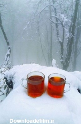 عکس چای تو برف