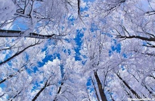 تصاویر زیبا از طبیعت زمستانی - تصاوير بزرگ - بهار نیوز