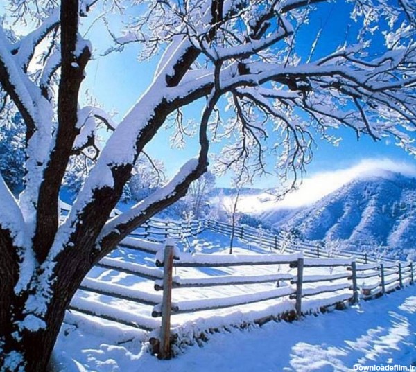 عکس زمینه روز زمستانی برفی پس زمینه | والپیپر گرام