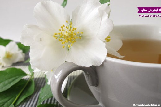 چای سفید چیست و چه خواص بی نظیری دارد؟