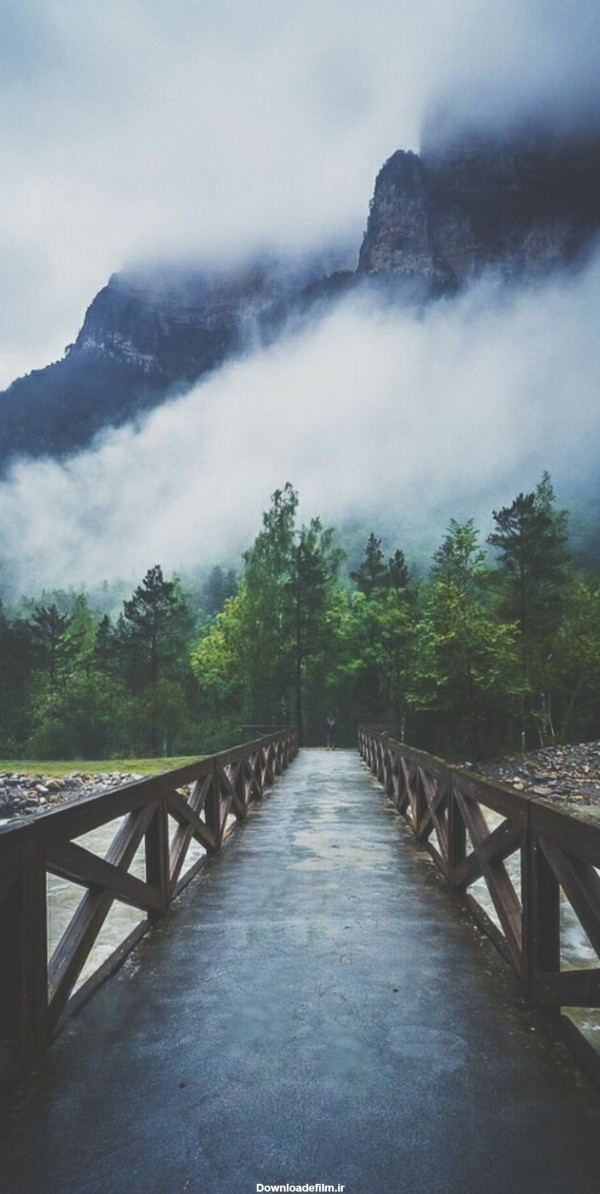 عکس زمینه طبیعت پل زیبا و عاشقانه با درخت های انبوه در مه برای موبایل