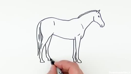 آموزش نقاشی یک اسب به زبان انگلیسی