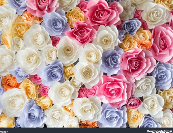 افت پس زمینه گل رز رنگارنگ کاغذ در عروسی 1288072