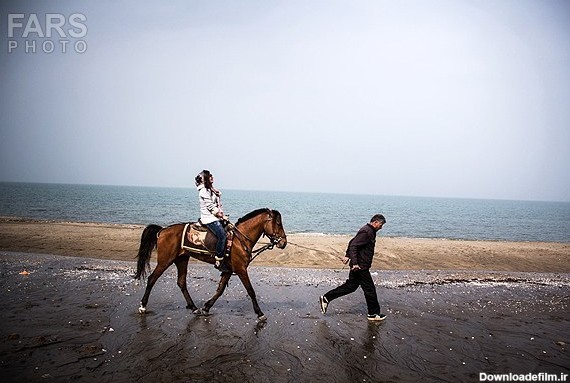 عکس/ اسب سواری یک دختر در ساحل