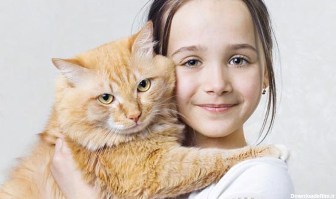 7 راهی که گربه ها به انسان احساساتشان را نشان می دهند-@ITPetnet