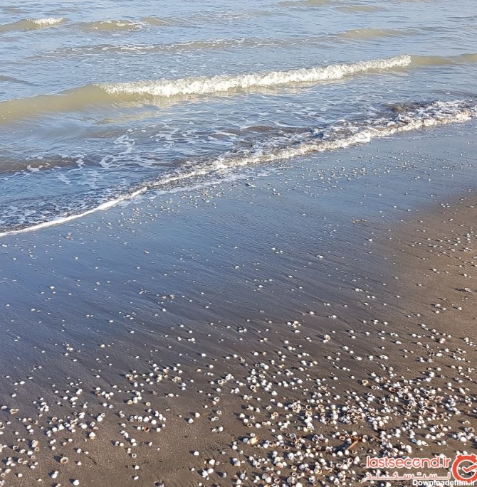 ساحل خزر آباد (فرح آباد) ساری: همه آنچه قبل از رفتن باید ...