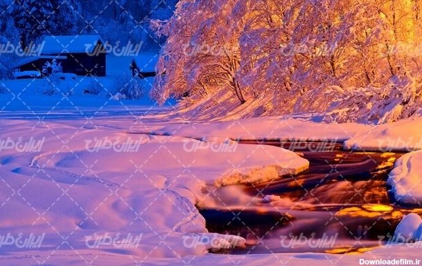 تصویر با کیفیت درخت پوشیده از برف به همراه برف و منظره برفی ...