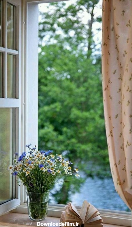 عکس گل زیبا کنار پنجره