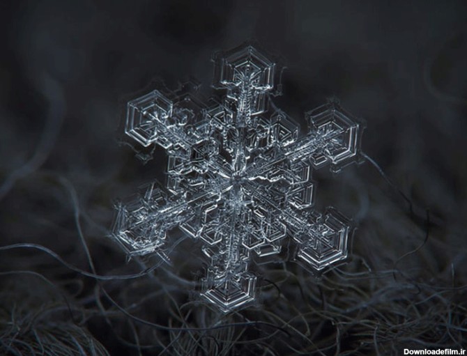 عکس های کلوزآپ زیبا از دانه های برف - تصاوير بزرگ - بهار نیوز