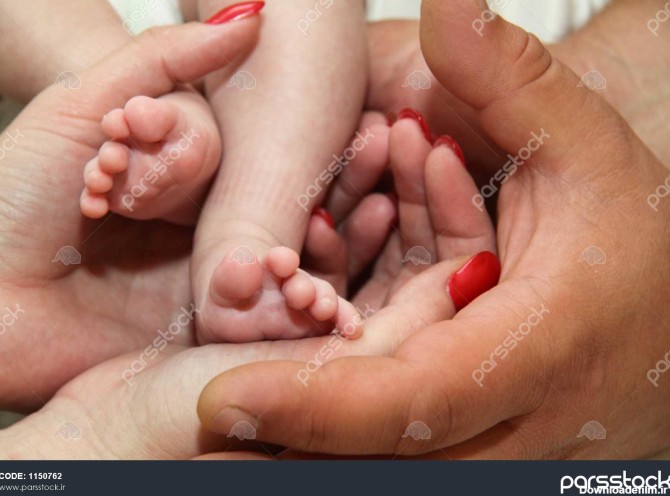 پای نوزاد و دست والدین 1150762