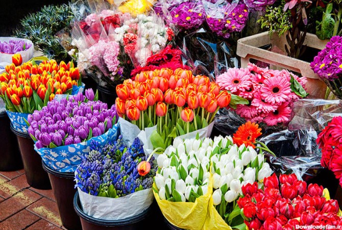 گل های موجود در بازار ایران - فلوآرت