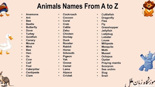 اسامی حیوانات به انگلیسی با تلفظ | لیست 100 حیوان + فیلم